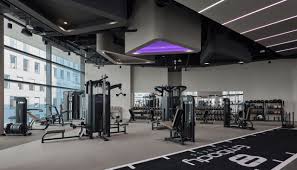 "The Ultimate Guide to the Most Expensive Gyms in the United States (2025)"