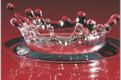 12 Celestial Health Secrets Boston’s Elite Harness for Radiance, Longevity & Unshakable Energy