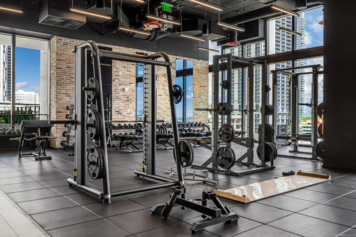 Miami’s Top 10 Golden Fitness Palaces That Forge Unstoppable Strength and Million-Dollar Confidence