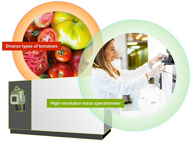 Biomolecules in Food