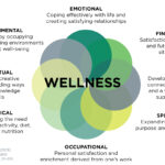 Forge Your Wellness Empire: 10 Relentless Health Strategies to Triumph in Miami