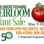 Conquer Cravings with Swagger: 9 Resilient U.S. Nutrition Hacks for Epic Wins