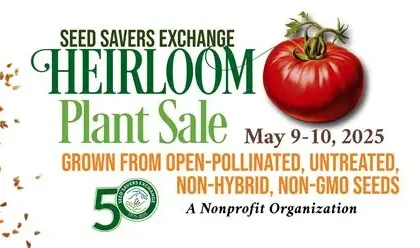 Conquer Cravings with Swagger: 9 Resilient U.S. Nutrition Hacks for Epic Wins