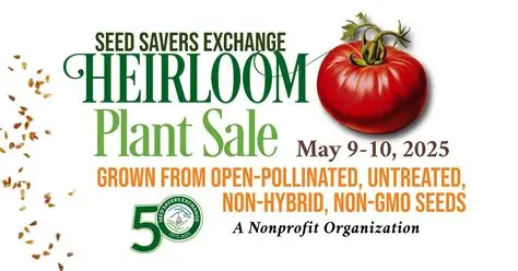 Cravings with Swagger