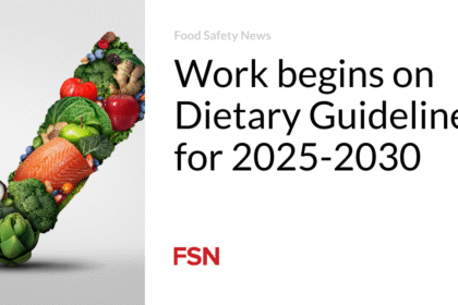 Fuel Your Fearless Vibe: 6 Disruptive American Eating Plans for 2025