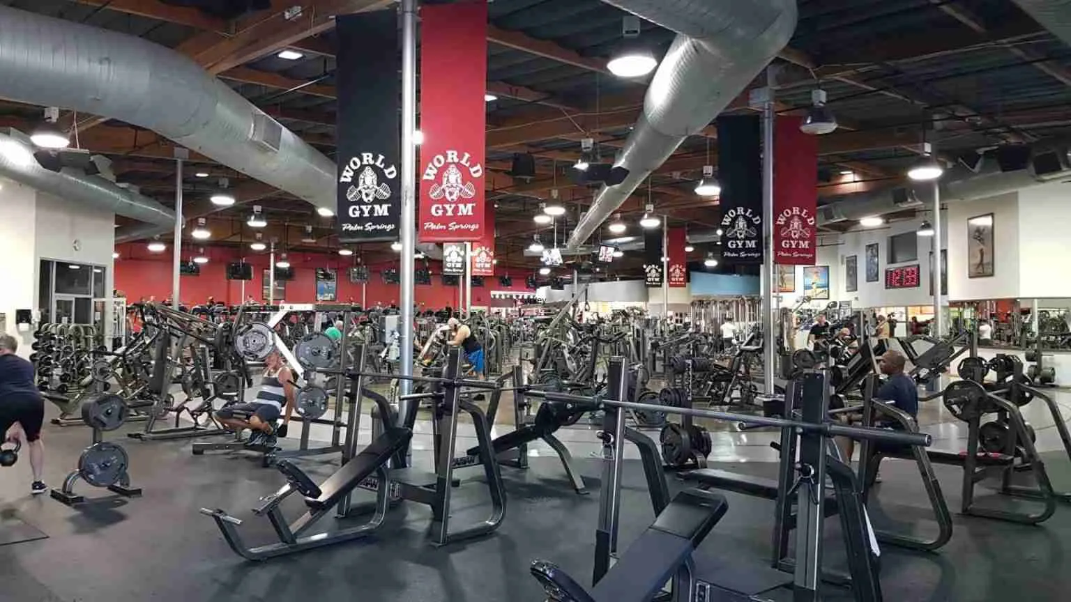 Chicago’s Supreme Fitness Citadel: Dominate Your 90-Day Transformation at 5 Elite Gyms Near You