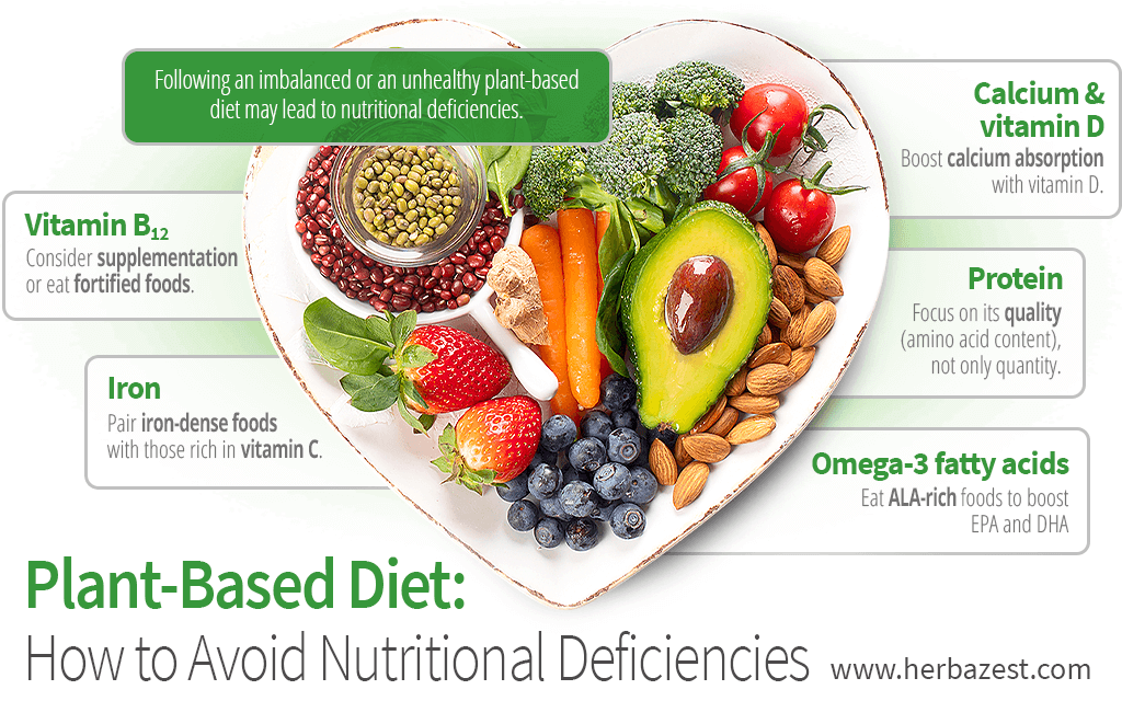 Meat-Free Diets